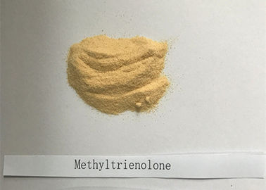 Anfänger-aufbauender androgener Steroide Methyltrienolone-Medizin-Grad 965 93 5