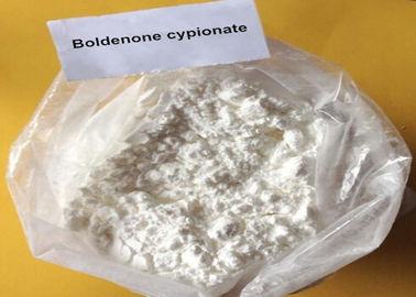 Kundengebundenes Pulver der anabolen Steroide, Muskel-Gebäude-Steroide Boldenone Cypionate