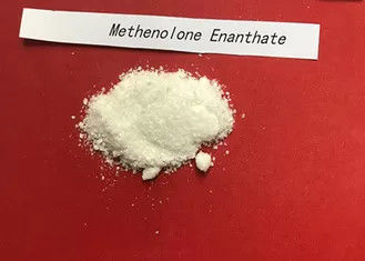 99% aufbauendes Nandrolone-Steroid Methenolone Enanthate/Primobolan-Depot CAS 303-42-4