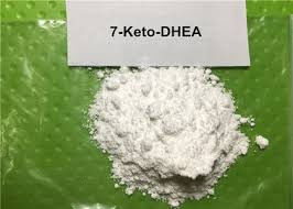 Prohormone-Azetat-Ergänzungs-Pulver 7-Keto-DHEA 7-Keto-DHEA für mageres Muskel-Wachstum