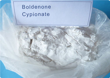 Lösungs-Steroid-Hormon-rohes Pulver Boldenone Cypionate (106505-90-2) mutiges Ace