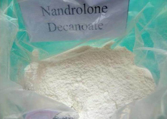 99,5% Probe Nandrolone Decanoate-Pulver, CAS 360 70 3 bodybuildende anabole Steroide
